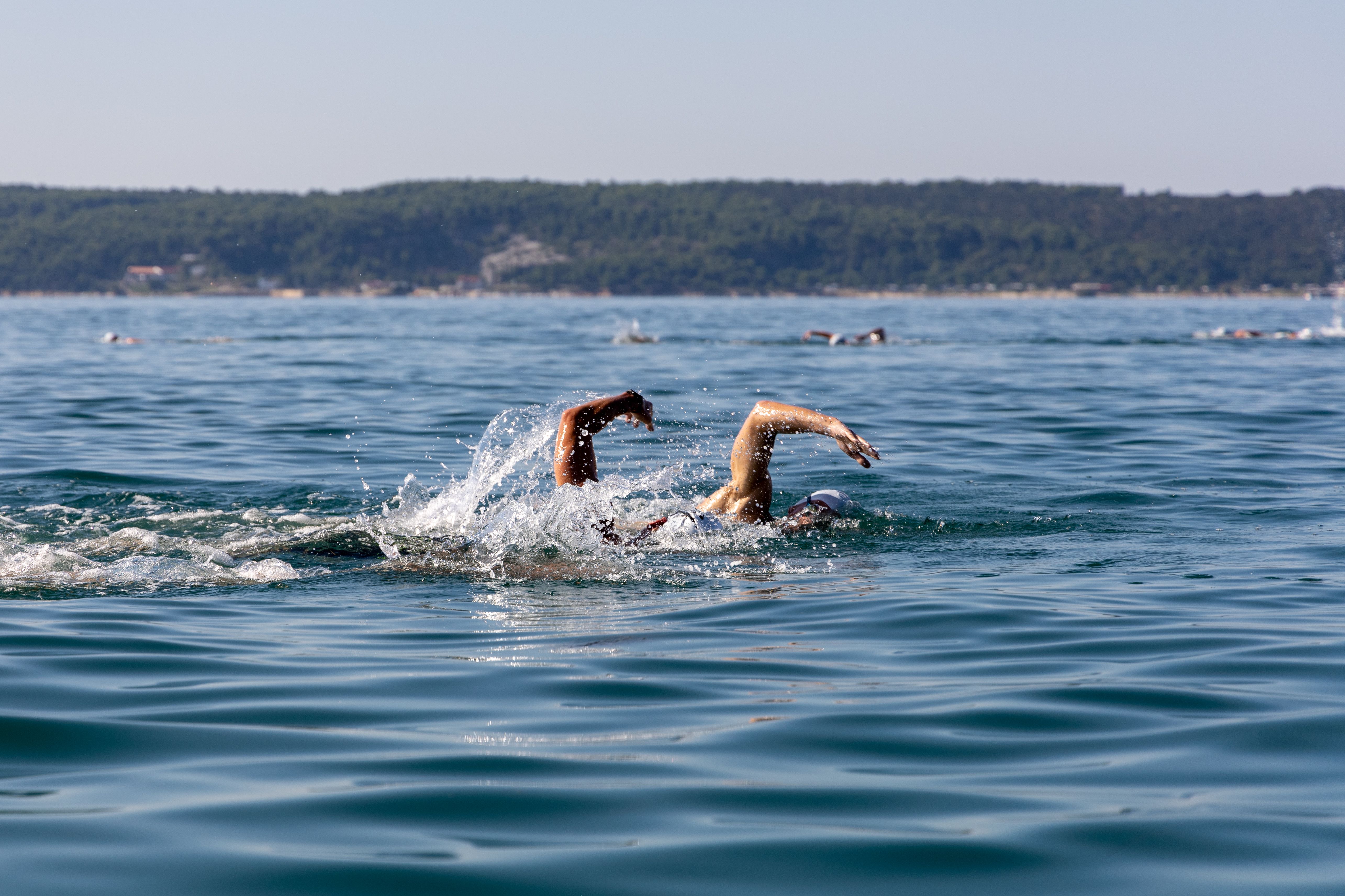BISEROV PLAVALNI MARATON